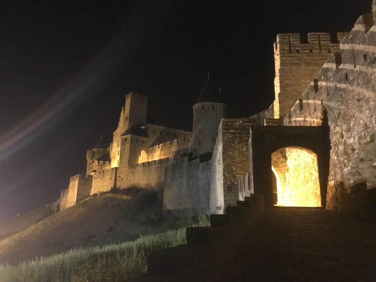 Le Clos Saint Michel Carcassone Kültér fotó