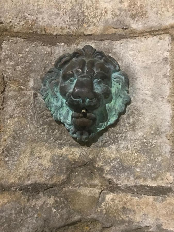 Le Clos Saint Michel Carcassone Kültér fotó
