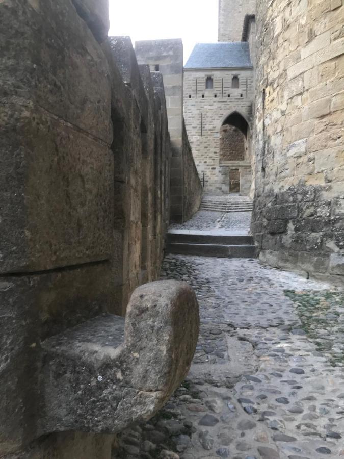 Le Clos Saint Michel Carcassone Kültér fotó